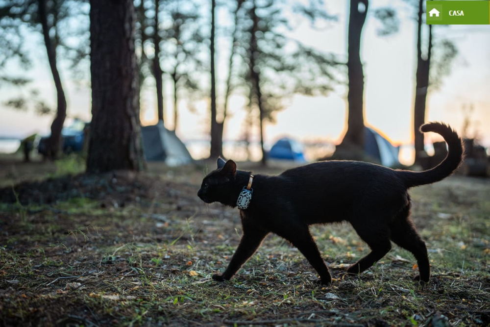 Unibox Pets Unipolsai